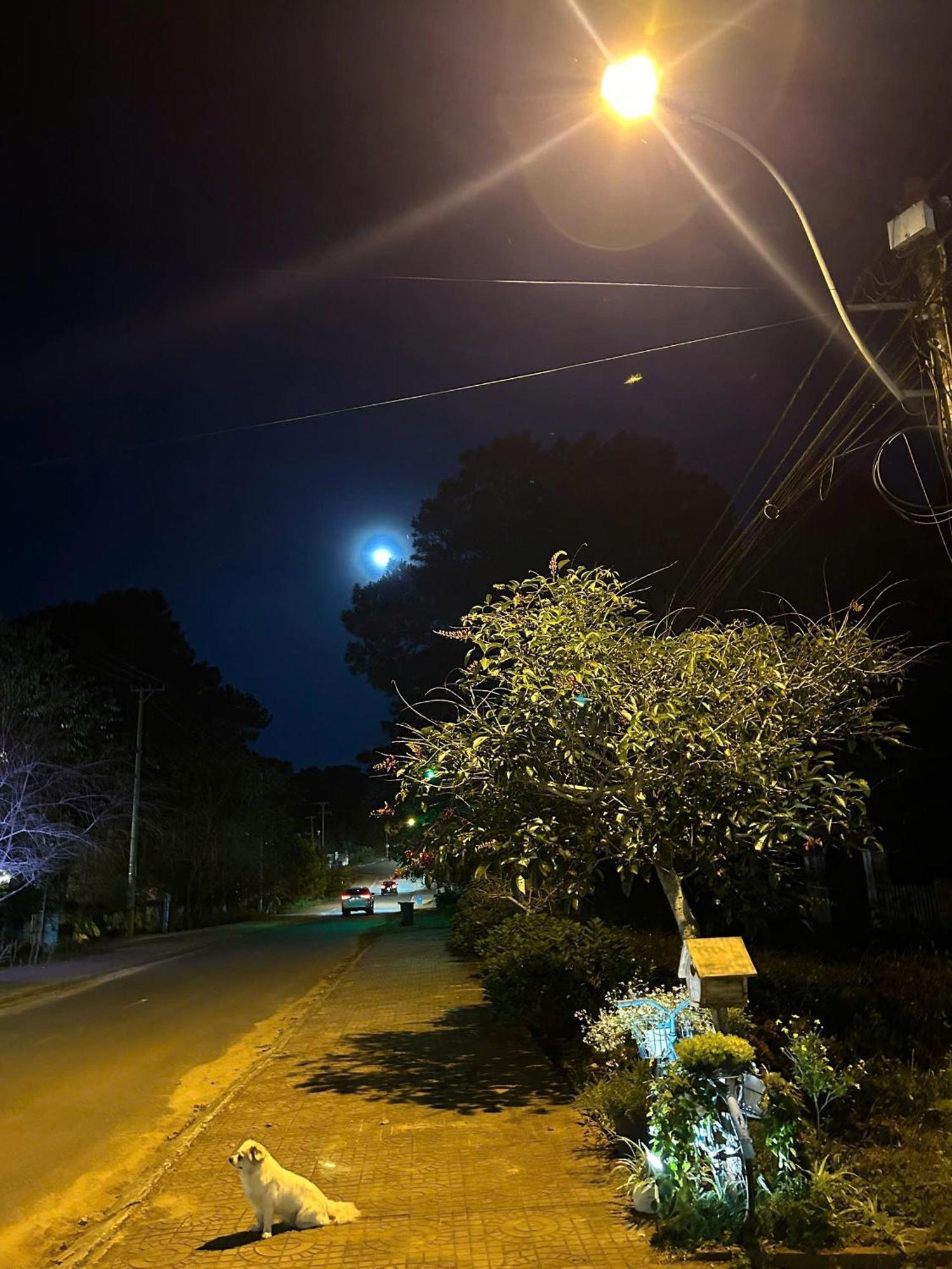 Chino Homestay Măng Đen Tỉnh Kontum Exterior foto