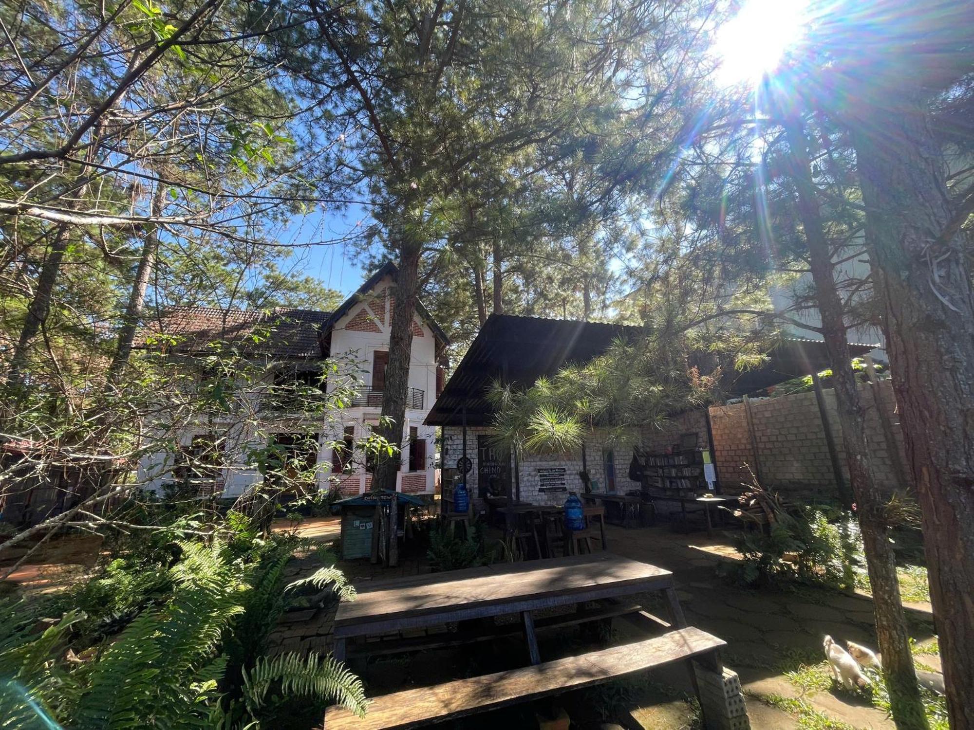 Chino Homestay Măng Đen Tỉnh Kontum Exterior foto