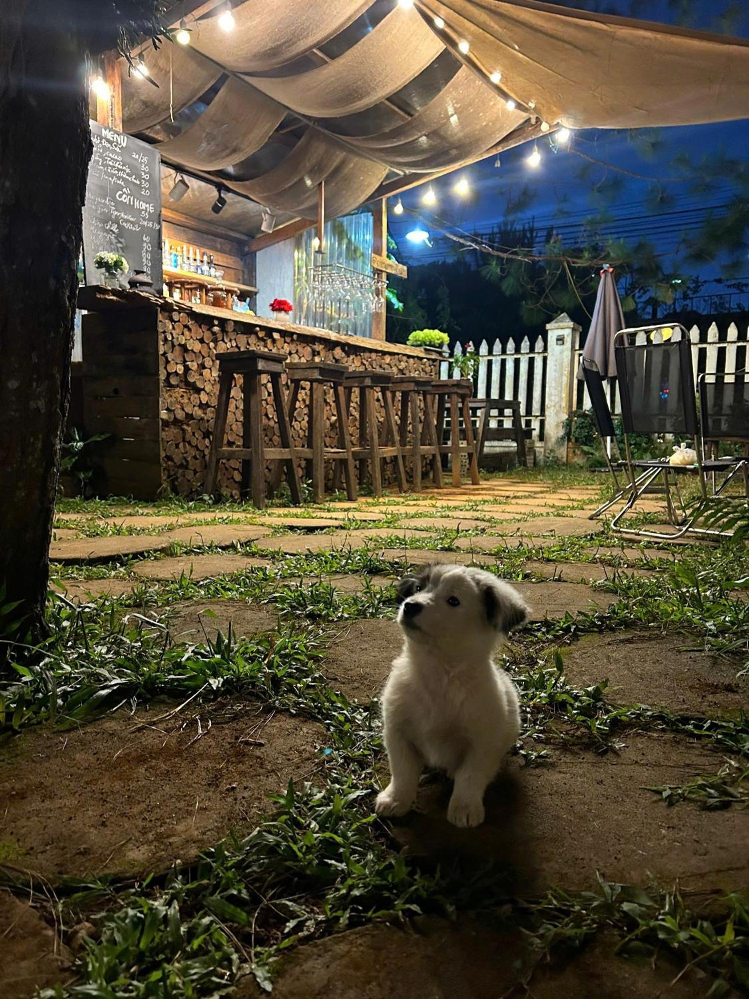 Chino Homestay Măng Đen Tỉnh Kontum Exterior foto